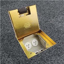 Floor Outlet Box 2 Power 3 Data 19mm Brass Recessed Lid 145 Series