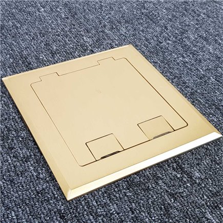 Floor Outlet Box 2 Power Brass Flush 145 Series